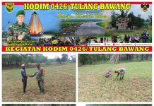 Koptu Purwoko Melaksanakan Monitoring Penanaman Padi Di Wilayah Binaannya