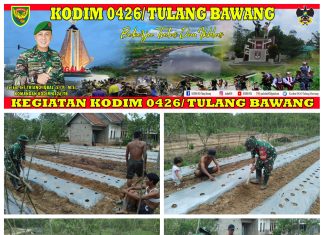 Babinsa Koramil 426-01 Simpang Pematang Membantu Petani Menanam Tanaman Terong