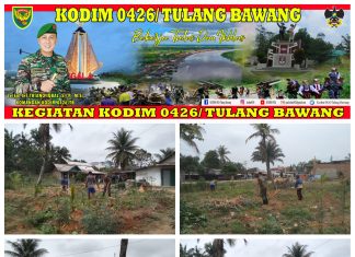 Babinsa Koramil 426-04 Banjar Agung Bantu Warga Panen Singkong, Terus Lakukan Pemanfaatan Lahan Kosong Untuk Ketahanan Pangan