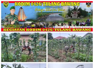 Babinsa Koramil 426-01 Simpang Pematang Melaksanakan Komsos Di Perkebunan Milik Salah Satu Warga Binaannya