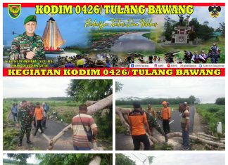 Gerak Cepat Babinsa Koramil 426-02 Menggala Dan Instansi Terkait Atasi Pohon Tumbang