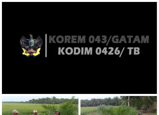 Babinsa Koramil 426-05/PA Memberikan Sosialisasi Kepada Petani Padi