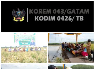 Dandim 0426/TB, Letkol Kav. Delvy Marico, S.E., M.I.P, Hadiri Panen Raya Padi di Desa Sungai Badak, Mesuji