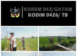 Babinsa Koramil 426-04/BA Pastikan Petani Tanpa Kesulitan