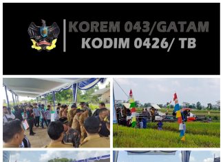 Kodim 0426 Tulang Bawang Dampingi Panen Raya di Rawa Pitu
