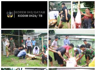 Idul Adha 1445 H. Kodim 0426/TB Turut Gelar Qurban 2 Ekor Sapi Dan 11 Ekor Kambing