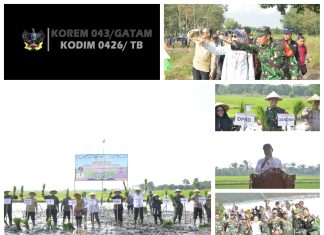 Dandim 0426/TB Letkol Kav. Delvy Marico Hadiri Kegiatan Tanam Padi di Desa Sungai Badak, Kab. Mesuji