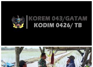 Percepat Tanam Padi Gadu, Babinsa Koramil 426-03 Rawajitu Anjangsana Dengan Kelompok Tani