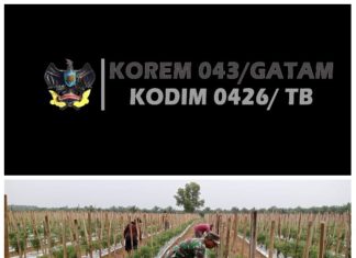 Babinsa Koramil 426-05/PA, Pendampingan Kepada Petani Cabe Dalam Pemupukan