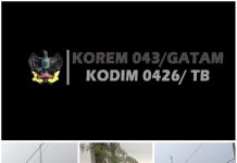 Aksi Gerak Cepat Anggota Kodim 0426 Tulang Bawang, Bersihkan Pohon Tumbang Melintang Di Jalan Raya