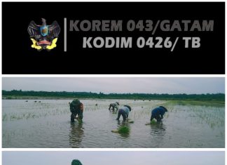 Babinsa Koramil 426-05 PA, Terjun Langsung Ke Sawah, Bantu Petani Proses Penanaman Padi