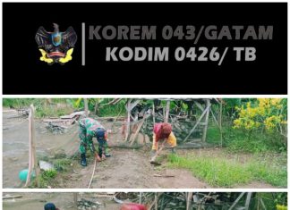Babinsa 426-05 PA, Bantu Petani Manfaatkan Lahan Tidur Untuk Tanam Cabai