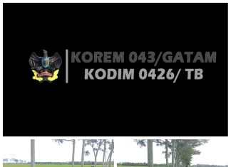 Babinsa Koramil 426-03/Rawajitu Melaksanakan Pendampingan Kelompok Tani