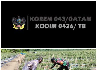 Babinsa Koramil 426-02 Menggala Bantu Petani Cara Merawat Tanaman Cabe