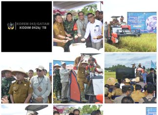 Dandim 0426/TB, Bersama Forkopimda Tuba, Ikuti Serta Panen Raya Padi Serentak 14 Provinsi Bersama Presiden RI