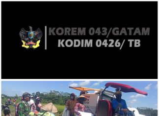 Bantu Petani Panen Padi, Babinsa Koramil 426-03 Rawajitu, Terjun Langsung Sukseskan Ketahanan Pangan