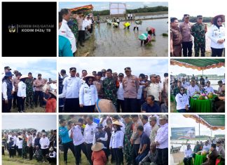 Dandim 0426/TB Bersama Forkopimda Mesuji, Tanam Padi Serentak