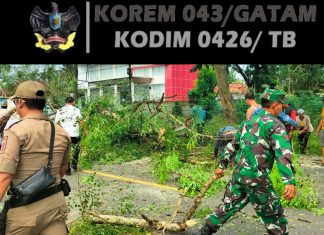 Demi Keselamatan Warga, Babinsa 426-04 BA, Monitor Penebangan Pohon Di Tuba