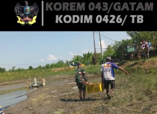 Babinsa Koramil 426-03 Rawajitu Dampingi Petani Panen Udang di Tambak
