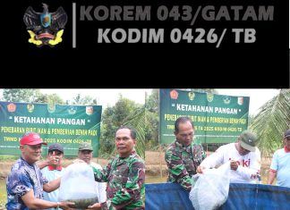 Warga Moris Jaya Antusias Terima 3.000 Bibit Ikan Lele dari Satgas TMMD ke-125