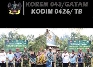 TMMD ke-125 Dorong Ketahanan Pangan Lewat Penebaran 3.000 Bibit Ikan Lele di Moris Jaya