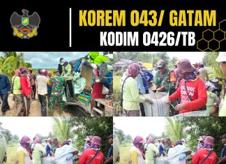 *Babinsa Koramil 426-03 Rawajitu Turun Langsung Bantu Petani Panen Padi di Mesuji*