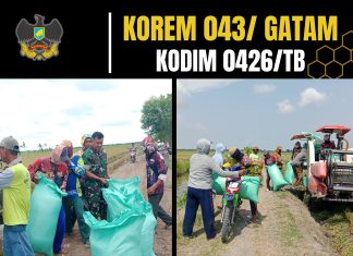 Serka Maisi, Anggota Koramil 426-03 Rawajitu, Terjun Langsung Bantu Warga Panen Padi