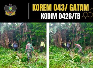 Serda Priyanto Babinsa 426-03 Rawajitu Membantu Panen Udang*