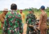 DANDIM 0426/TB TINJAU LANGSUNG LOKASI CETAK SAWAH 2026 DI BANJAR MARGO