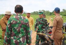 DANDIM 0426/TB TINJAU LANGSUNG LOKASI CETAK SAWAH 2026 DI BANJAR MARGO