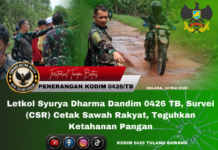 Letkol Syurya Dharma Dandim 0426 TB, Survei Cetak Sawah Rakyat, Teguhkan Ketahanan Pangan