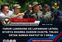 Turun Langsung ke Lapangan! Letkol Syurya Dharma Dandim 0426/TB, Tinjau Cetak Sawah Rakyat di Tiga Desa