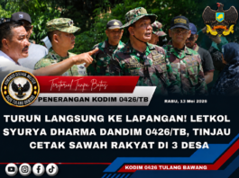Turun Langsung ke Lapangan! Letkol Syurya Dharma Dandim 0426/TB, Tinjau Cetak Sawah Rakyat di Tiga Desa
