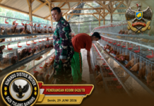 BABINSA 426-05 PENAWAR AJI LAKSANAKAN PENDAMPINGAN PETERNAKAN AYAM PETELUR, DUKUNG PROGRAM KETAHANAN PANGAN NASIONAL