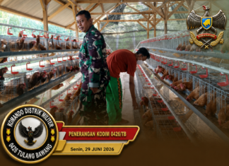 BABINSA 426-05 PENAWAR AJI LAKSANAKAN PENDAMPINGAN PETERNAKAN AYAM PETELUR, DUKUNG PROGRAM KETAHANAN PANGAN NASIONAL