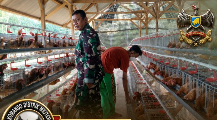 BABINSA 426-05 PENAWAR AJI LAKSANAKAN PENDAMPINGAN PETERNAKAN AYAM PETELUR, DUKUNG PROGRAM KETAHANAN PANGAN NASIONAL