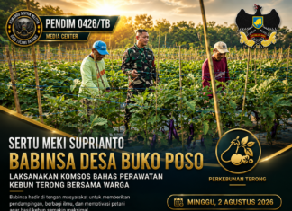 Sertu Meki Suprianto Babinsa Desa Buko Poso Laksanakan Komsos Bahas Perawatan Kebun Terong Bersama Warga