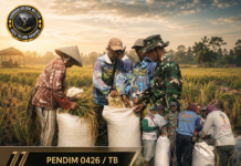 Babinsa Dampingi Petani Panen Padi di Desa Sidang Kurnia Agung