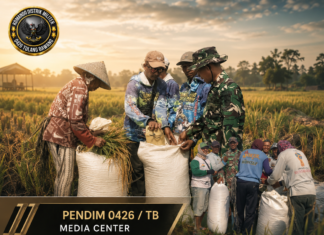 Babinsa Dampingi Petani Panen Padi di Desa Sidang Kurnia Agung