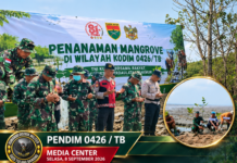 KORAMIL 426-03/RAWAJITU LAKSANAKAN PENANAMAN MANGROVE DALAM RANGKA HUT KE-81 TNI TAHUN 2026